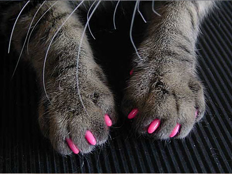 Немного о маникюре